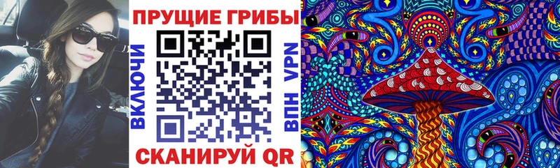 дарнет шоп  Домодедово  гидра зеркало  Псилоцибиновые грибы Psilocybine cubensis 